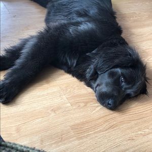 Meet your Posher, Terrie